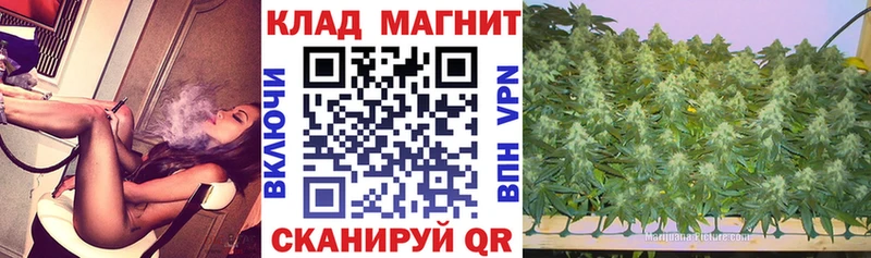 Наркотические вещества Заринск Кокаин МЕФ A PVP Конопля АМФ Гашиш