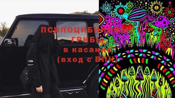 не бодяженный Заводоуковск