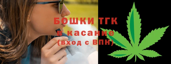 не бодяженный Заводоуковск