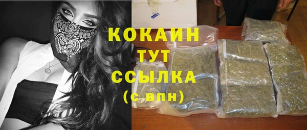 не бодяженный Заводоуковск