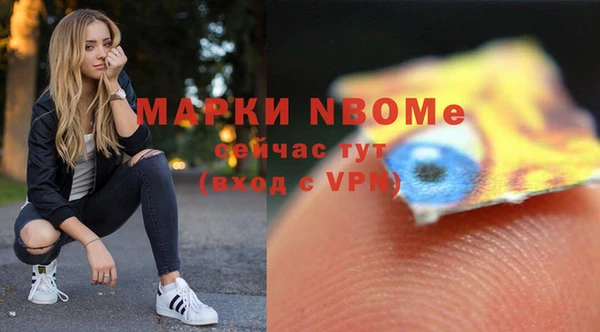 не бодяженный Заводоуковск