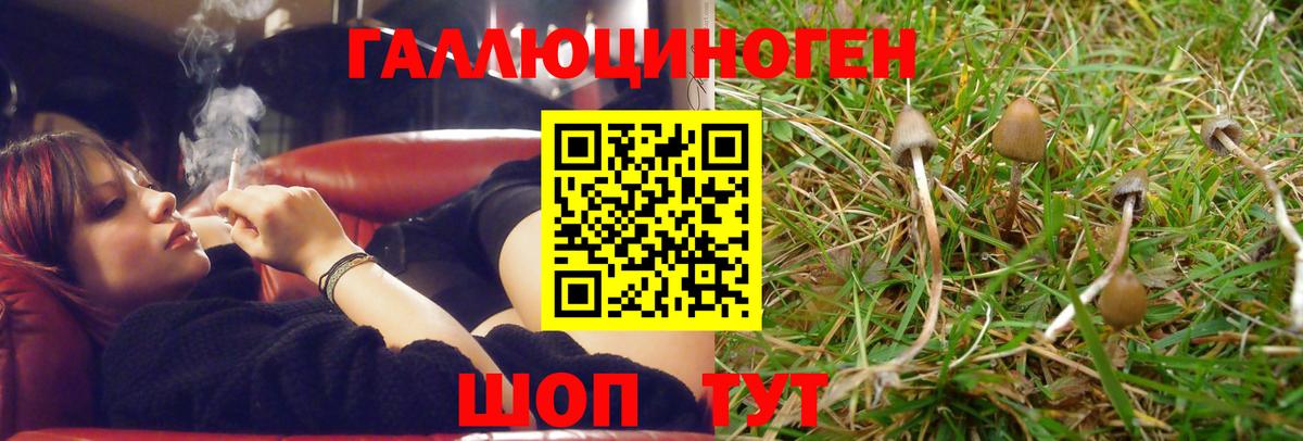 Псилоцибиновые грибы Psilocybe  дарнет шоп  Заринск  Вход с VPN  Галлюциногенные грибы Cubensis 